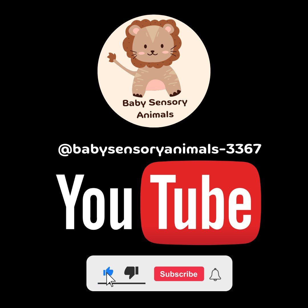 I'd like to invite you to come check out the Baby Sensory Animals YouTube channel! Just click the link to head on over to my channel, and don't forget to hit the subscribe and notification bell.
youtube.com/@babysensoryan…
#babysensory #babysensoryvideo #sensoryplay #babydevelopment