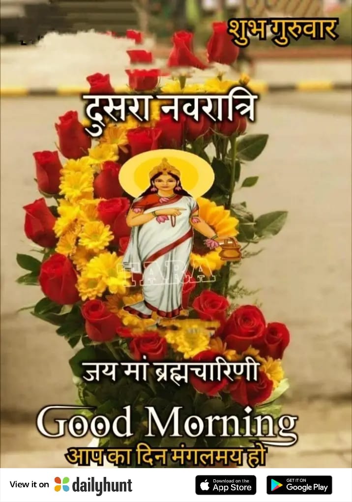 ANANDVI22785010's tweet photo. @Anitasantosh6 https://t.co/5tE7b2HZy5