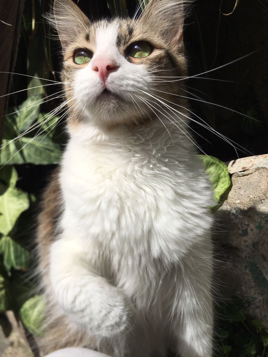 La manita 😭🥹❤️