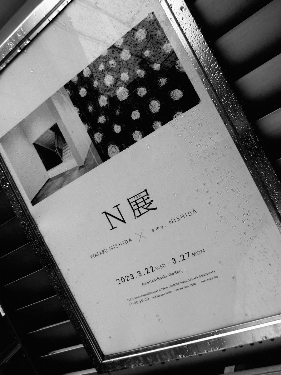 ved00163's tweet photo. N展に行って来ました。
作品を画面で見てるだけではピンと来なかったので足を運びましたが分からなかったです。
写真集も全頁を通しました、GAZE5が取っ付きやすかったかな。
https://t.co/C746zTtSd2
https://t.co/U7AOynTc8o https://t.co/o1zAgOkUol