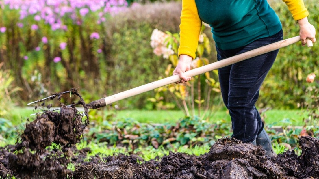 GemeenteDenHaag's tweet photo. Gratis zakje compost op de Landelijke #Compostdag! ๐ท๐ฑ๐ Hagenaars kunnen op 25 maart, van 10.00 - 14.00 uur, een gratis zakje compost ophalen bij stadsboerderijen en educatieve tuin De Kornoelje ๐Kornoeljestraat 117.
๐จโ๐พ https://t.co/FHPuP7qQP3
๐ฉโ๐พ https://t.co/BnquznZWSk https://t.co/Opcnp9bTb7
