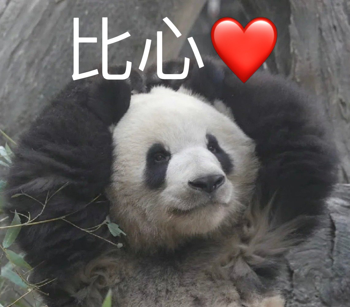 yuyump1's tweet photo. @jobbiijob https://t.co/FgKaEERZ04