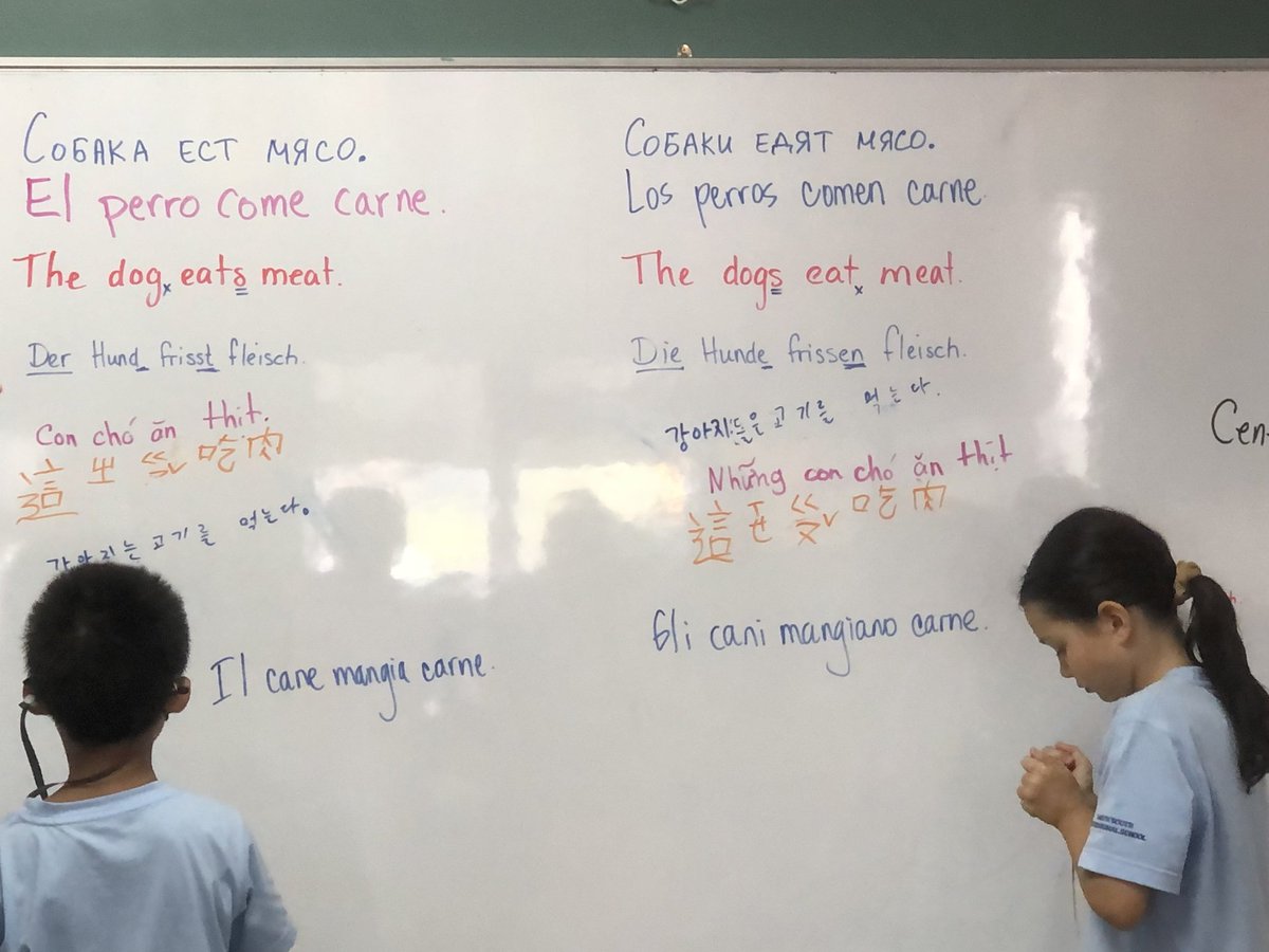 Learning about how all our languages handle nouns and verbs in G3! Do we change the nouns if they are plural? Do verbs conjugate? Not always! 12 languages represented in 3SA. #translanguaging <a href="/cecigomez_g/">Ceci Gomez-Galvez (she.her.ella)</a> <a href="/KladovaTatiana/">Tatiana Kladova (she/her, она)</a> <a href="/ssischool/">SSIS</a>