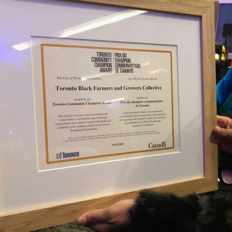BlackfarmersT's tweet photo. TBFGC were amongst 25 Organizations that were Honored by @cityofto Toronto Community Champion Award #torontocommunitychampionawards. We couldn't have continue to do our work without the support of community and grassroots organizations that are doing the heavy lifting https://t.co/uYWwMa2rCA