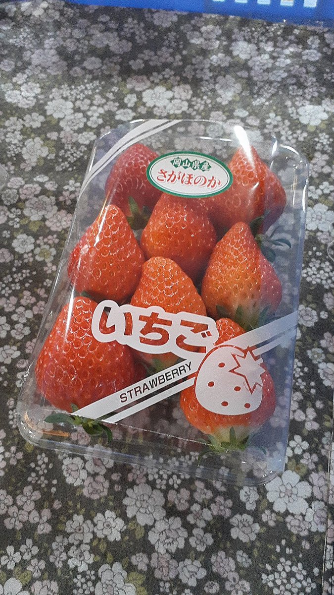 ronstrog's tweet photo. 本日はさがほのか
#岡山 #いちご #まやかみ農園 #果樹 #美味しい #絶品グルメ #イチゴ #苺 #フルーツ https://t.co/SAtu2R9hkH