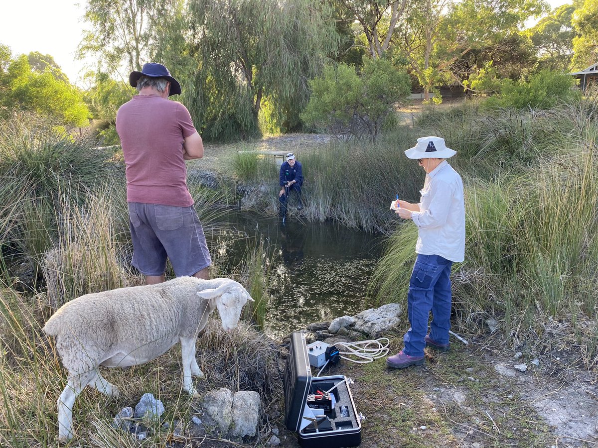 Jennie_PHCC tweet media