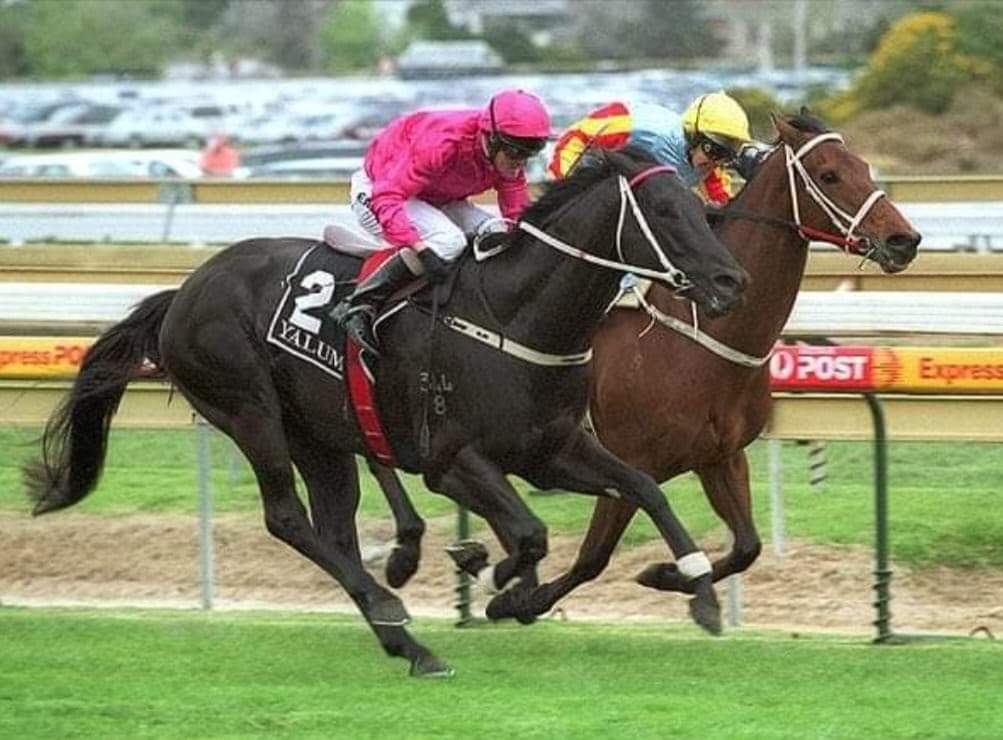 LONHRO 🇦🇺1998 (OCTAGONAL-SHADEA BY STRAIGHT STRIKE)#Lonhro #Theblackflash Now retired from stallion duties.