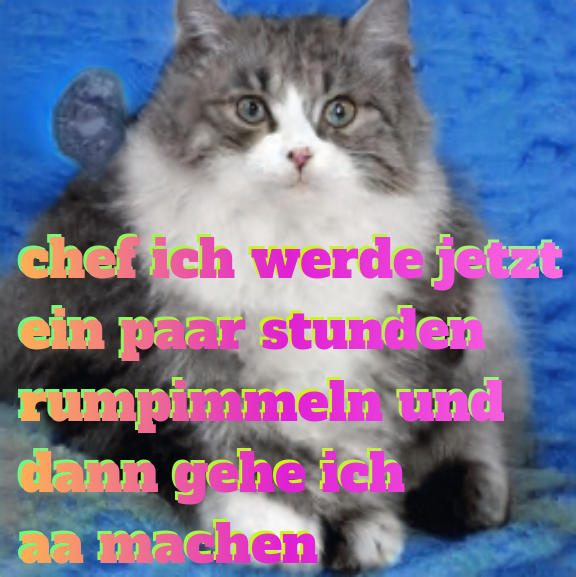 asozialisierung's tweet photo. https://t.co/zijDQ7Urfp