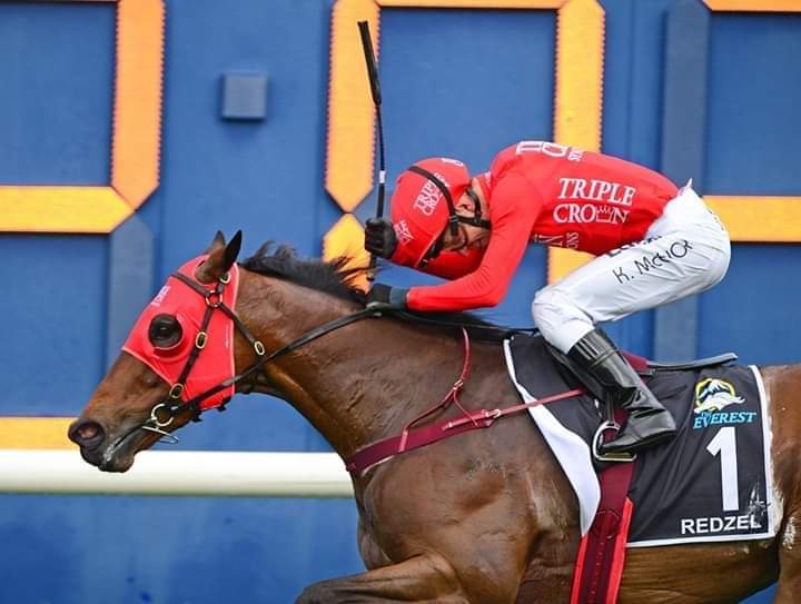HORSERACING1002's tweet image. REDZEL 🇦🇺2012
(SNITZEL - MILRICH BY RUBITON)#Redzel
