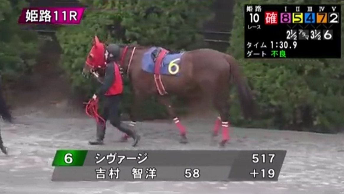 タガノウィリアムに早めにこられて出し抜けを食らい、でもって直線では外に開かれて単走の形。必勝態勢を敷かれたなかで勝ちきるバーニングペスカ、強すぎませんか…。シヴァージも悪かったのは最後だけだし、叩いて3、4角の緩い園田でペースが上がれば一気に変わってきそうですね。