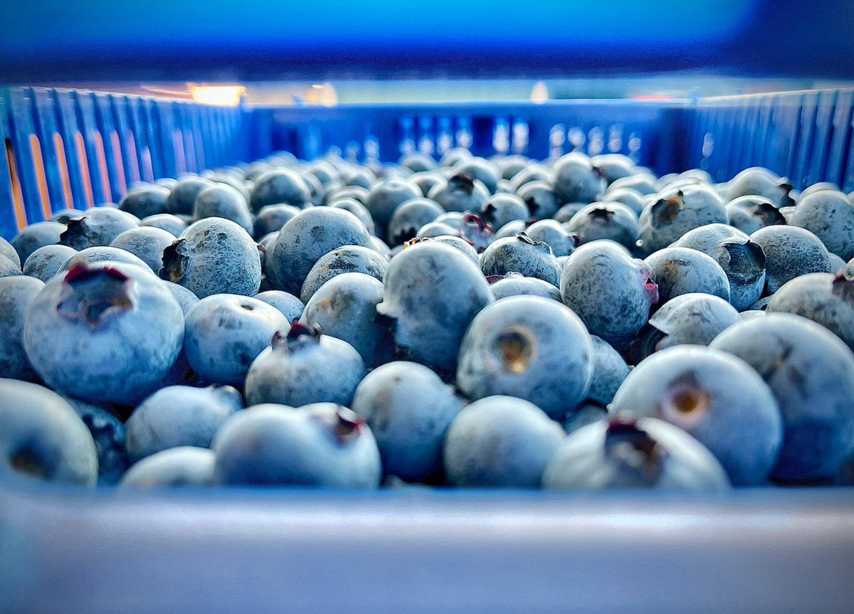 Please help me find the elusive…seek.com.au/job/66350896?t…