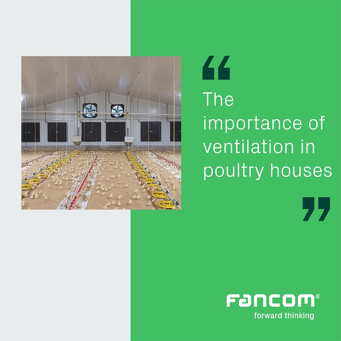Choosing an efficient poultry ventilation system gives you all the tools you need to adapt the house climate to match the needs of your birds precisely. Read our latest blog about the importance of ventilation in poultry houses.
fancom.com/blog/efficient…