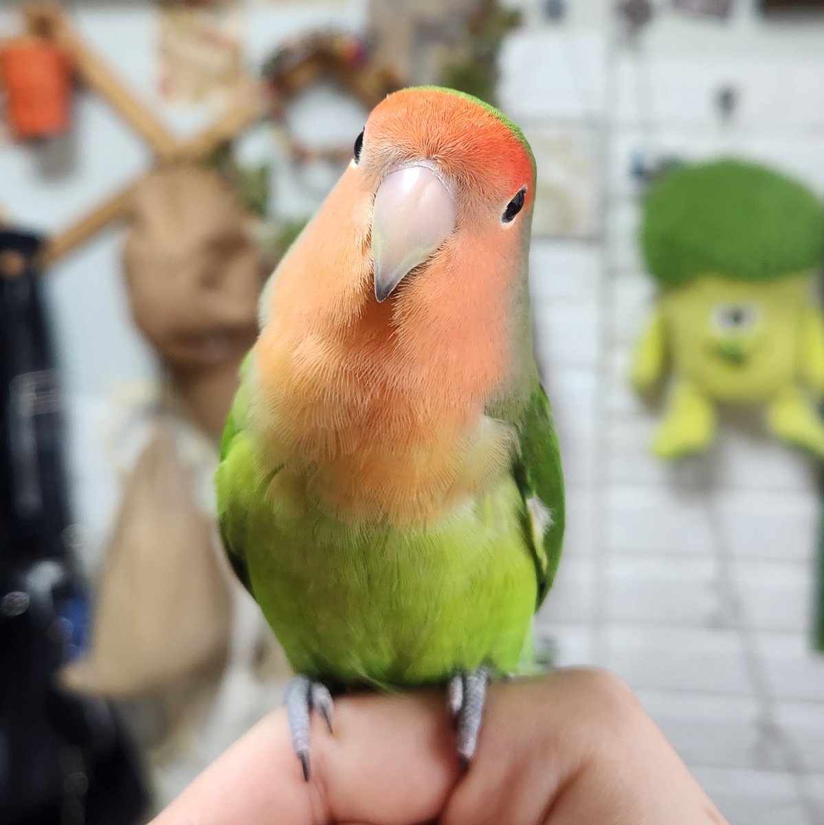 어...? 이쁘다...