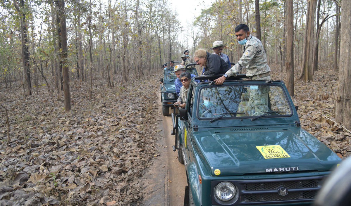 Dev_Fadnavis's tweet photo. When C20 representatives visited the Pench Tiger Project &amp; praised Maharashtra Govt’s efforts for tiger 🐅 conservation !
@C20EG #c20 #g20india @g20org #Nagpur #Maharashtra #civil20 #G20 https://t.co/GoqFfHEg3y