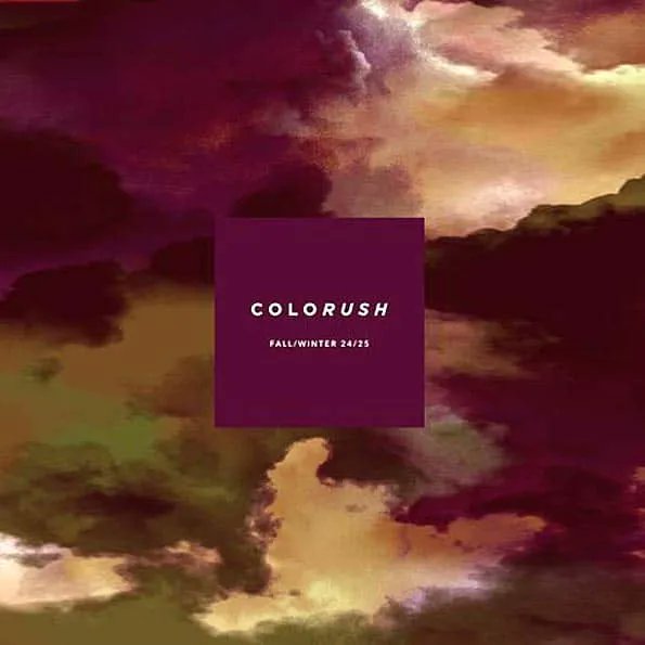 ideedaprodurre's tweet image. Colorush AW 2024-25
+ Info...
ideedaprodurre.com/en/prodotto/co…
.
#colortrends #colormood #colorcard #colorinspiration #colorforecast #colorpalette #casualwear #casual #sportactive #activewear #streetwear