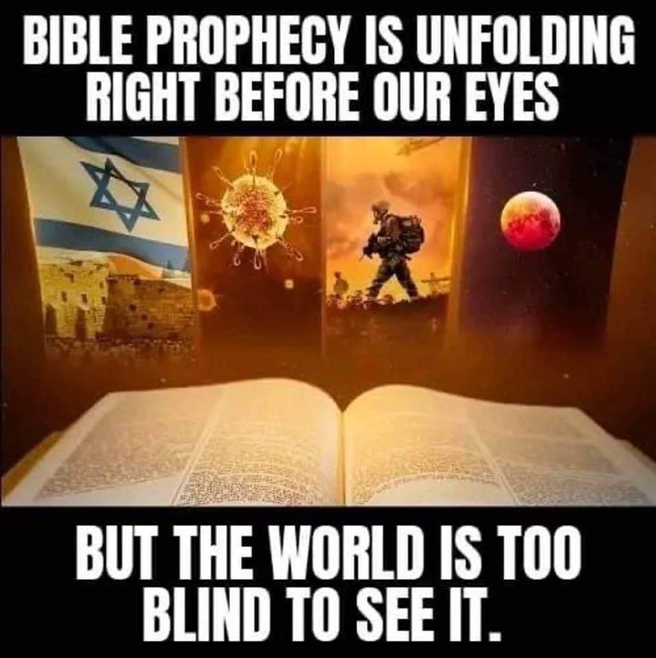 Benjamin Rapture Ready tweet media