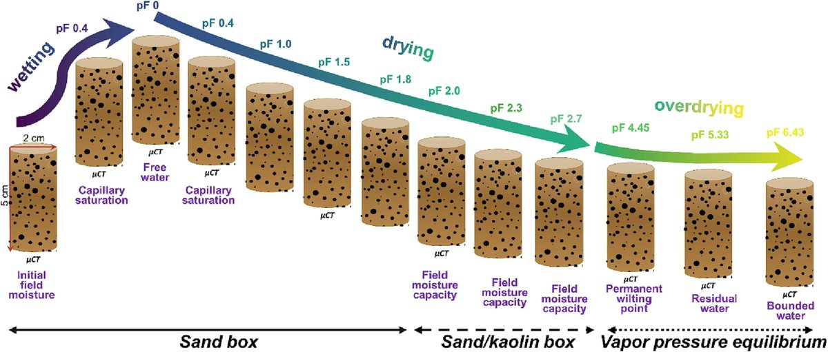 New in Geoderma: "Soil pore structure dynamics under steady-state wetting-drying cycle" by  Dmitriy S Fomin, Anna V Yudina, Konstantin A Romanenko, Konstantin N Abrosimov, Marina V Karsanina &amp; Kirill M Gerke. buff.ly/3JMoZUG 
<a href="/soil_space/">Soil S.P.A.C.E.</a>