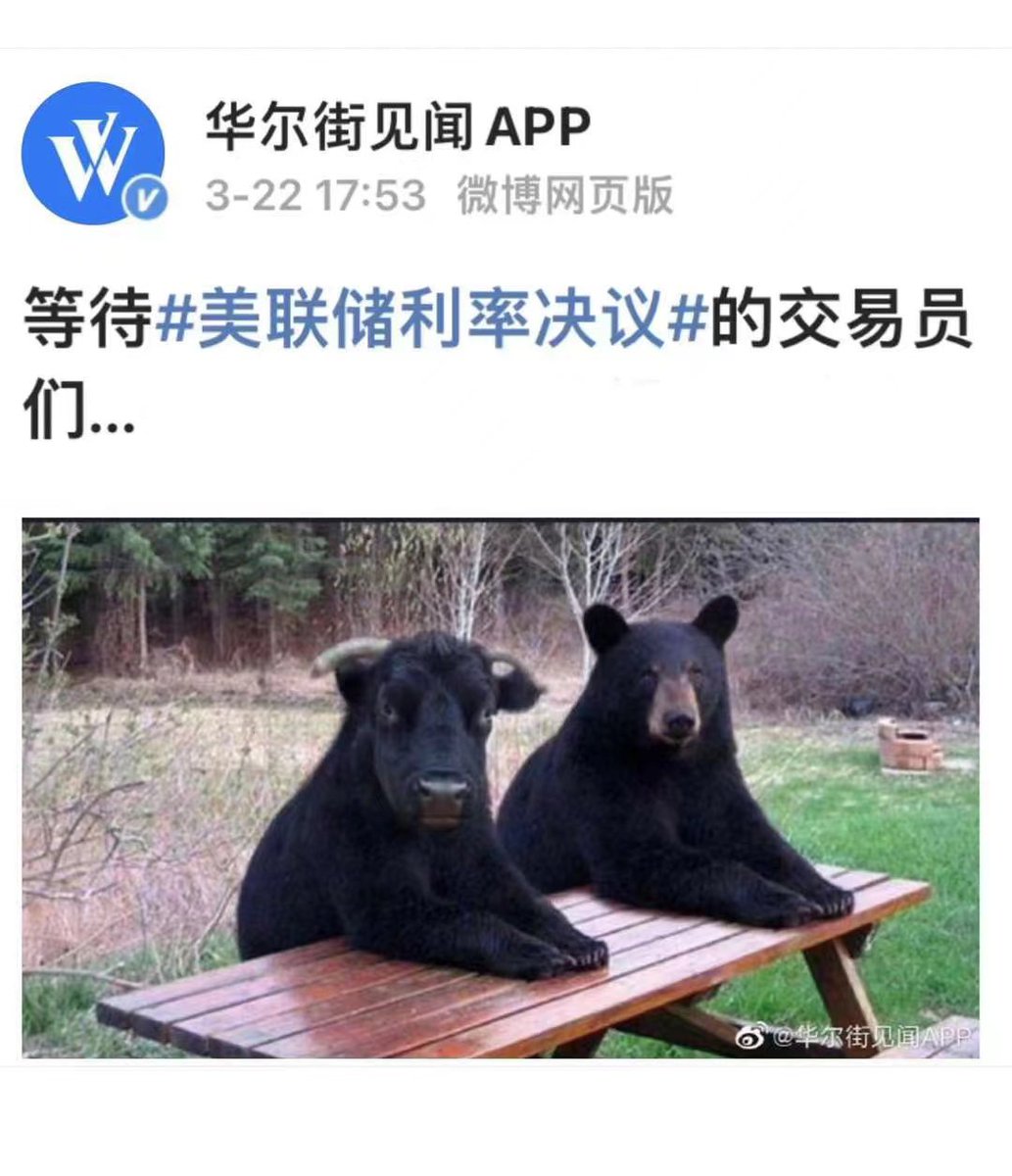 Adolphsun's tweet photo. 小明这波分析有道理啊 https://t.co/nNEJZphjJI