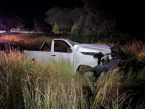 _ArriveAlive's tweet photo. Light delivery vehicle crashes into an elephant on the R71, Limpopo https://t.co/cm1EL7K85k #ArriveAlive #Animals #Elephant @TheEWT @TransportLimCom https://t.co/Fw0nUqrjXt