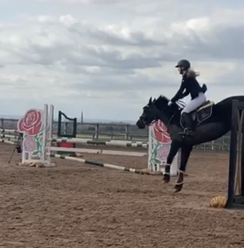 NewsEquine's tweet photo. A few shots from the horse show at the weekend. We love our little Welsh pony 😍

@EquineDreamsUK ⚡️

#horsechat https://t.co/YrEHFRsARt