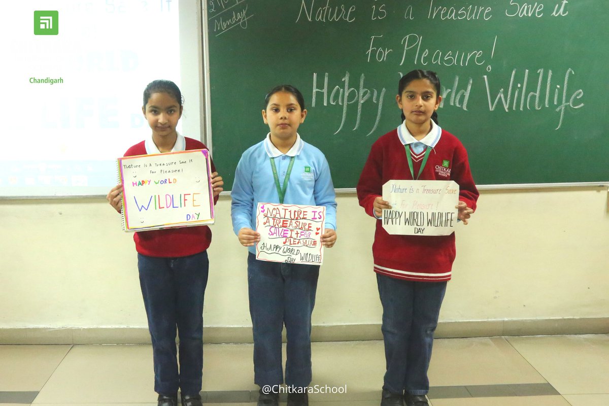 chitkara_school's tweet image. Chitkara International School, Chandigarh, conducts a riveting and inspiring Slogan Writing Activity to commemorate the World Wildlife Day

#CIS #wildlifeday #sloganwriting #nature #saveanimals #Internationalwildlifeday #studentactvity #Chitkarians #ChitkaraInternationalSchool