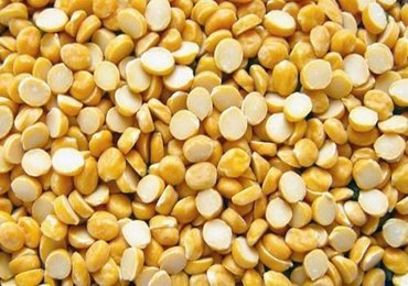 Yellow Split Pigeon Peas(Toor Dal) Ready for exports....#importer #exporter #pigeonpeas #pigeonpea #toordal #pulses #exportquality #importers #exporters #indianexporters