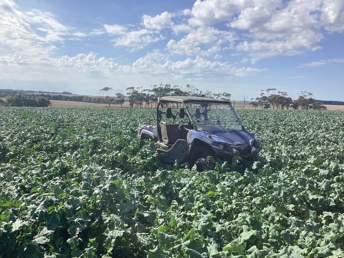 Ag Diagnostics tweet media