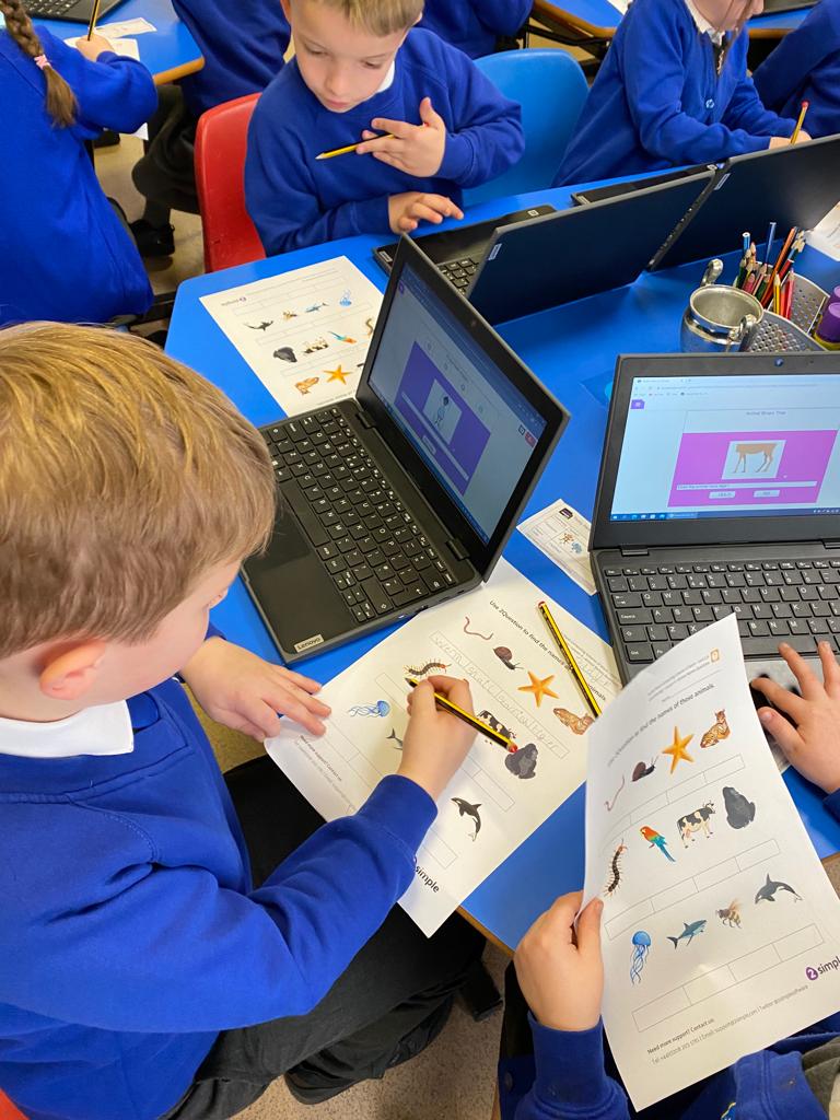 KCEclasses123's tweet photo. Class 1 have been using a computer binary tree on Purple Mash to solve the identities of avatars. They have also identified animals using a binary tree. @purpleMash #KCEComputing https://t.co/lAjH0kzo7U