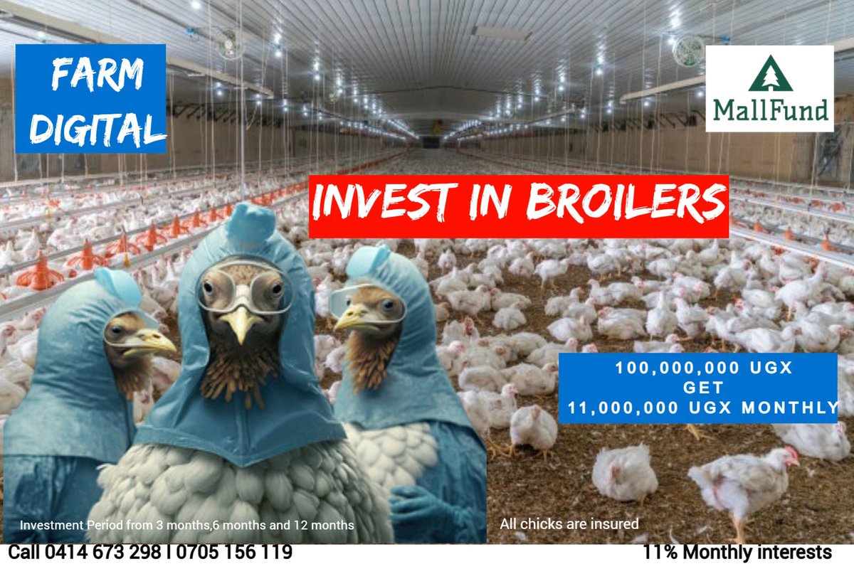 bamwinejnr's tweet photo. Life & Wealth investment provides you with peace of mind, knowing that you are prepared for whatever tomorrow may bring.
We are bearing the risk for broiler chicken farming for you, allowing you to make the most out of life worry free.
#FarmDigital
#MallFund https://t.co/vPhfnPCKO8