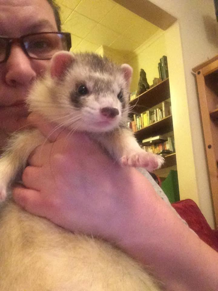 Baldymemike tweet media