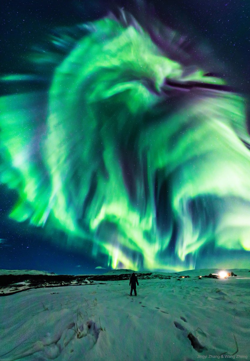 SpaceScience_'s tweet photo. La fameuse « aurore boréale Dragon » vue depuis l’Islande 🇮🇸 🐉

(Jingyi Zhang &amp; Wang Zheng📸📸) https://t.co/fD1n34jyYz