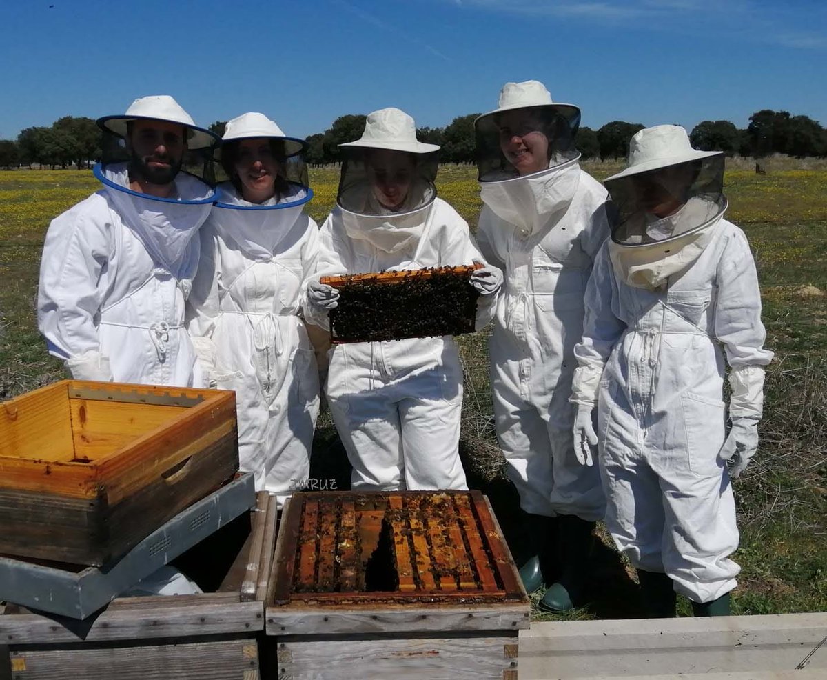 IfapaJunta's tweet photo. 🐝Los alumnos de @VeterinariaUCO que realizan las prácticas tutelas en el #IFAPA continúan su formación con una visita al colmenar del centro Hinojosa del Duque (#Córdoba) para la revisión e identificación de las principales enfermedades apícolas.

#IFAPAforma #apicultura #abejas https://t.co/rweMhuZyRV