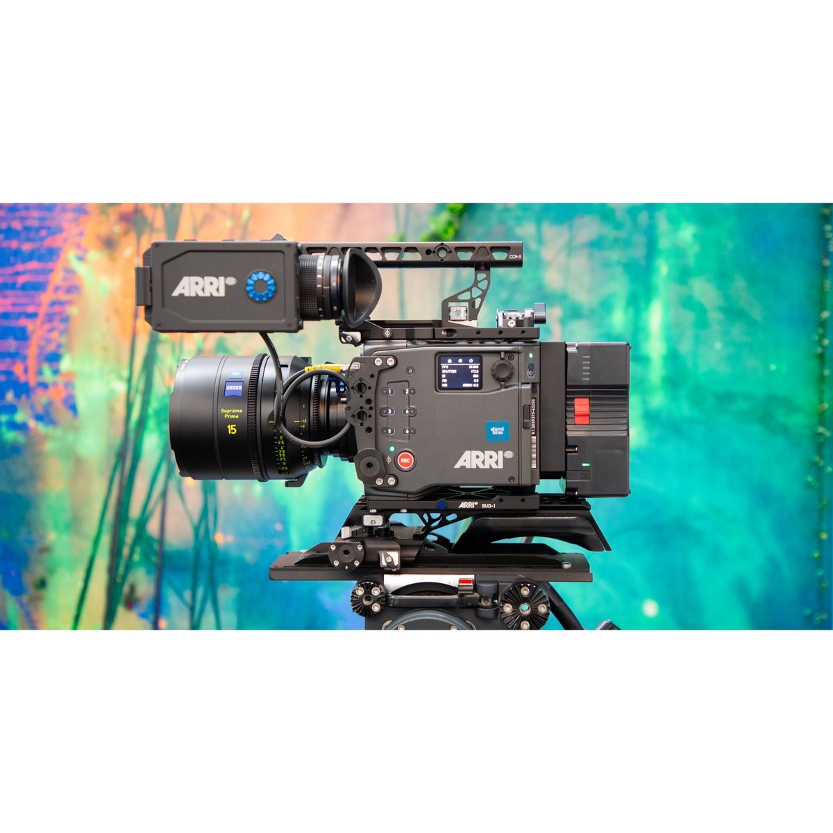 Shoot Blue tweet media