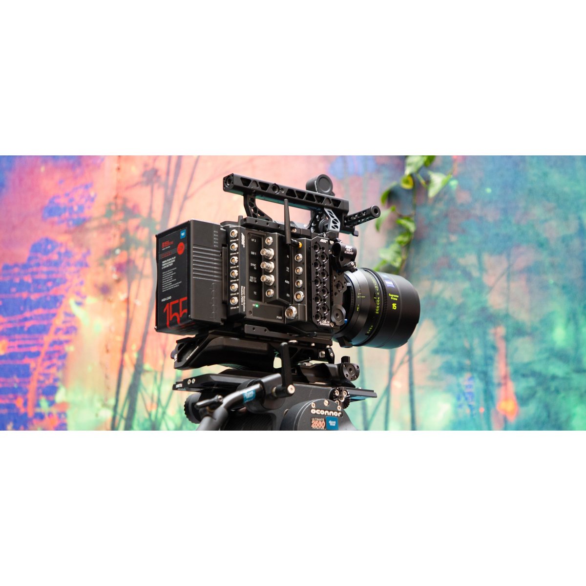 Shoot Blue tweet media