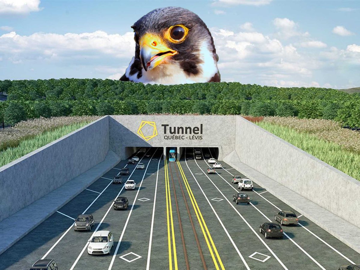 QuebecSolidaire's tweet image. «La CAQ a beau dire que le projet est sick mais l’avenir du 3e lien demeure sketch.»
- @e_grandmont, député solidaire