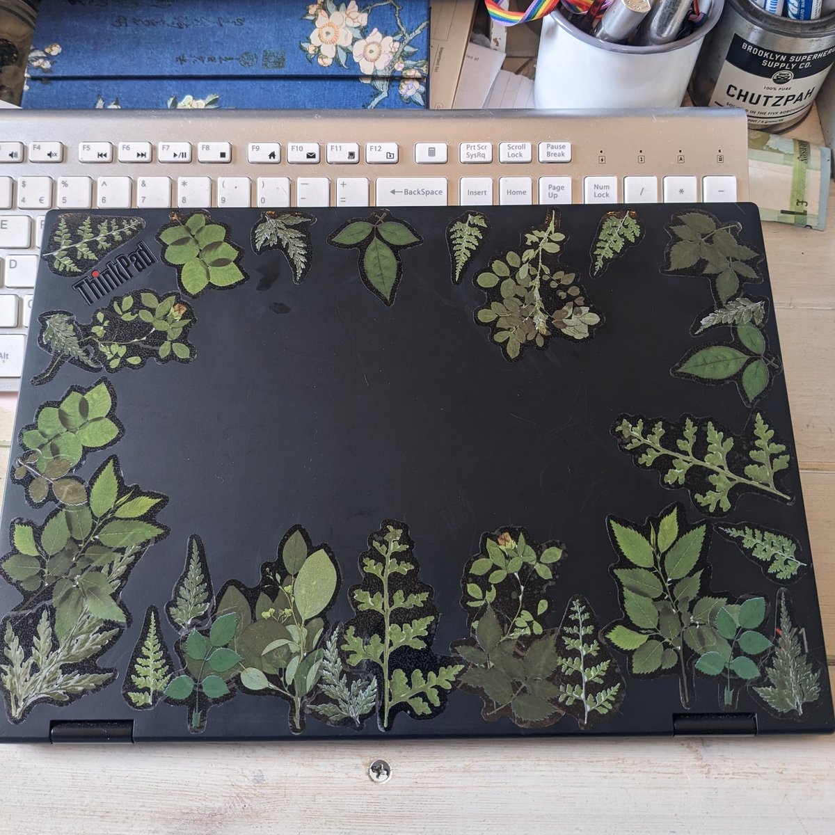 Hannah_Chutzpah's tweet image. New (to me) laptop has arrived &amp;amp; so did the stickers.... 

I want to buy many more rounds of plant photo stickers &amp;amp; just turn everything into a forest floor. 

#Goblincore #elfcore #DarkCottagecore FTW