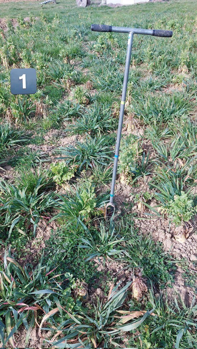 Valentin Deremetz tweet media