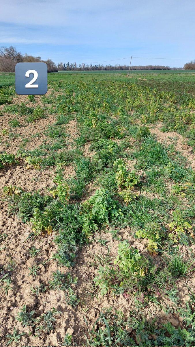 Valentin Deremetz tweet media