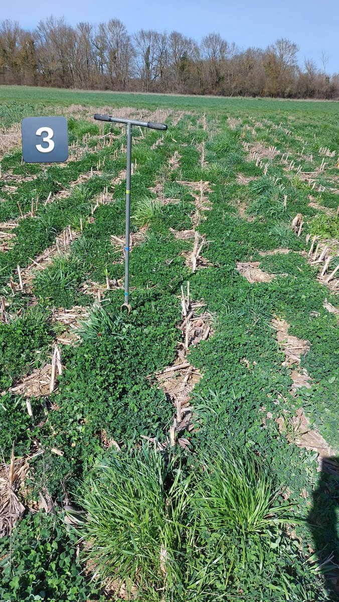 Valentin Deremetz tweet media