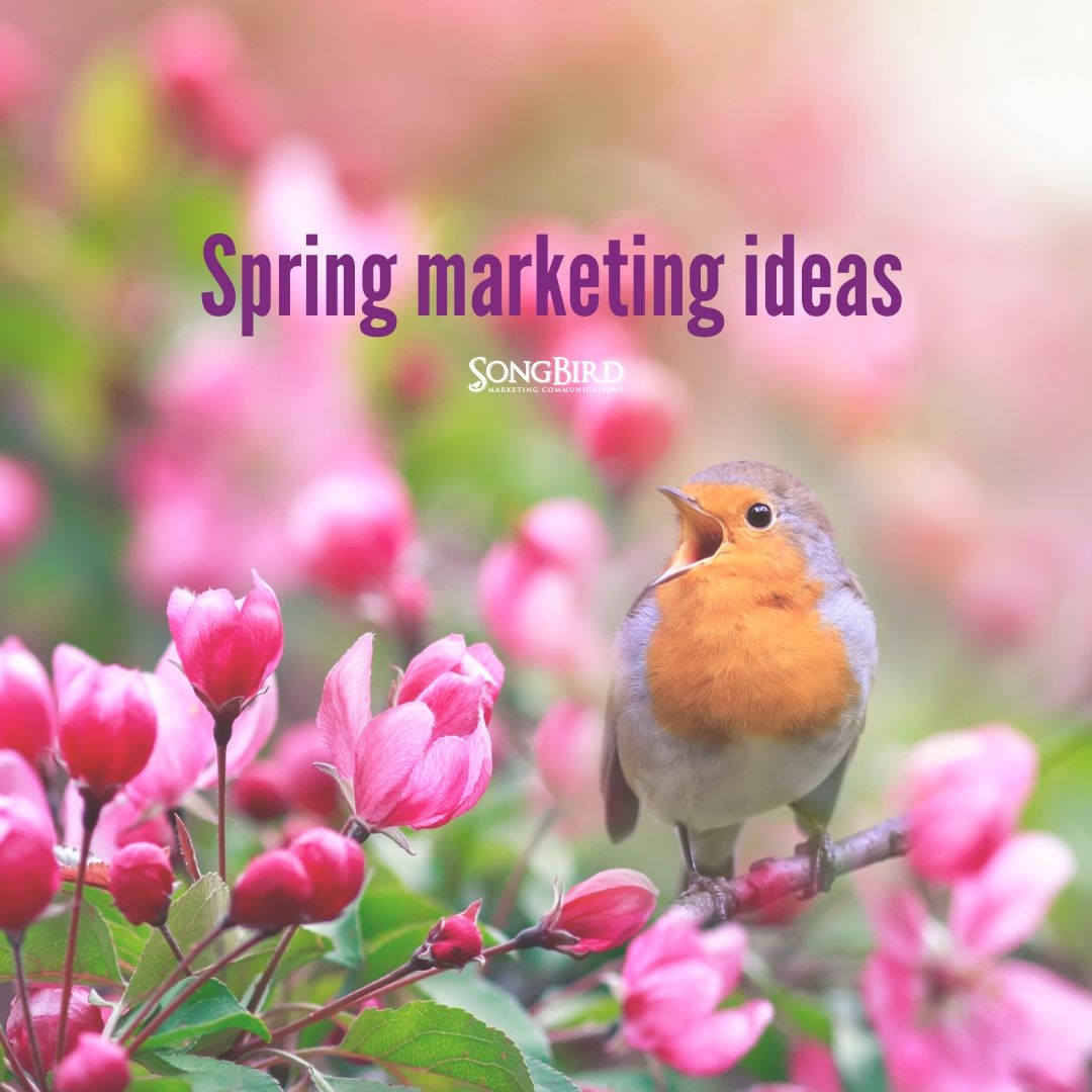 SongBird_Buzz's tweet photo. Spring has officially sprung and it’s a great time to try something fresh, fun, exciting and new! So @_thefbomb put together a few ideas to help inspire your spring marketing!

Check out our latest blog: https://t.co/JTJX4CFXdv

#SpringMarketing #Marketing Tips https://t.co/lVwrXRB9xW