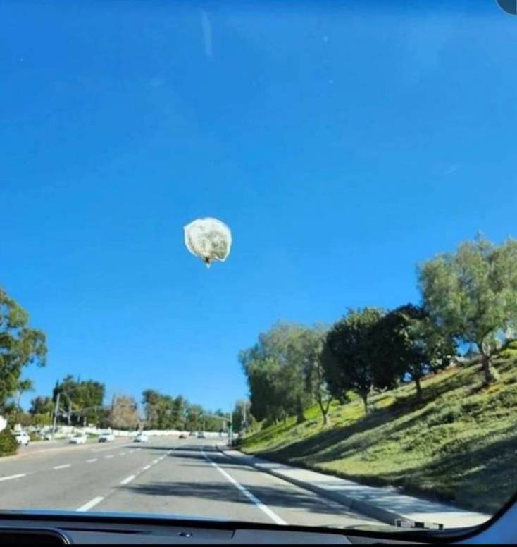 aulapc_es's tweet photo. Un artefacto alienígena ha ido flotando delante de mi coche durante más de una hora. No he podido evitar pensar de que se trata de la anunciada #InvasionExtraterrestre. He ido a una comisaria a pedir ayuda y me han dicho que es una mierda de pájaro en el parabrisas. Puffff... https://t.co/AQ9UsRKeVg