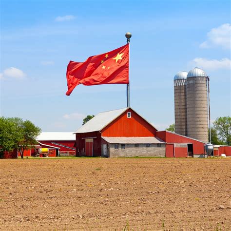 marcorubio's tweet photo. If you think a shortage of toilet paper was bad just imagine a shortage of food when China owns our farms 

Pass our bill to ban to put an end to this ASAP

https://t.co/eHF1unbSIq https://t.co/7zx0f4NjYH