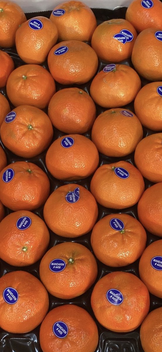 davidsoler_broc's tweet photo. Quality Moroccan Nadorcotts coming in by the container weekly https://t.co/vp1phDFcOO