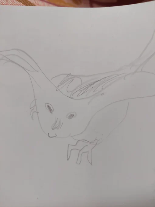 絵心ない芸人の度に旦那くんが絵を描こうとするけど毎回負けず劣らずの絵心のなさを披露してくれる(オウムだそうです) 