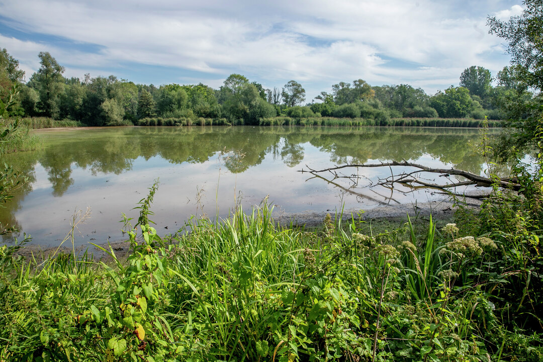 AB InBev EU tweet media