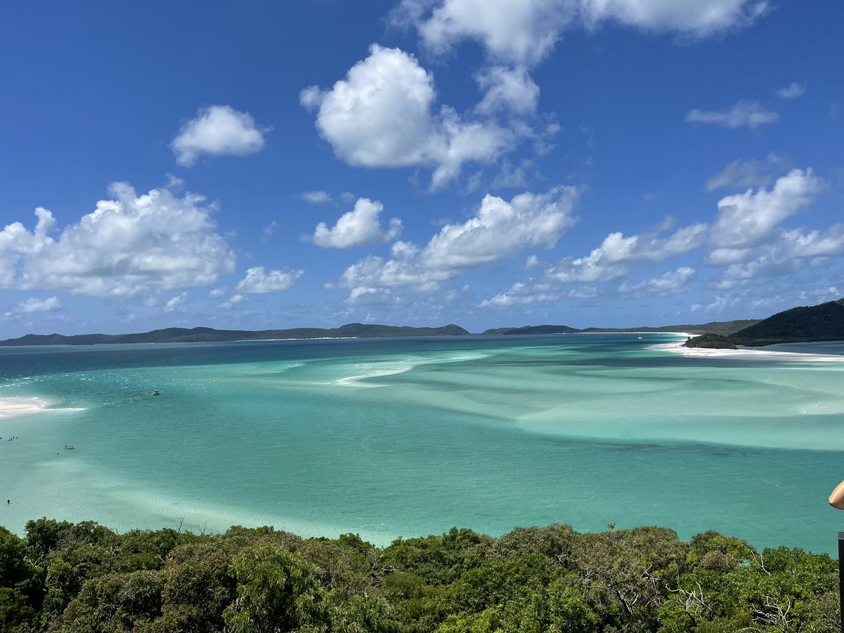 brendastoneart's tweet photo. My inspiration (left) 
+ 
My painting (right) 

So much inspiration came from my trip to the Whitsundays 

#WhitsundaysIslands 
#coralseas https://t.co/pkB2zT9rt8