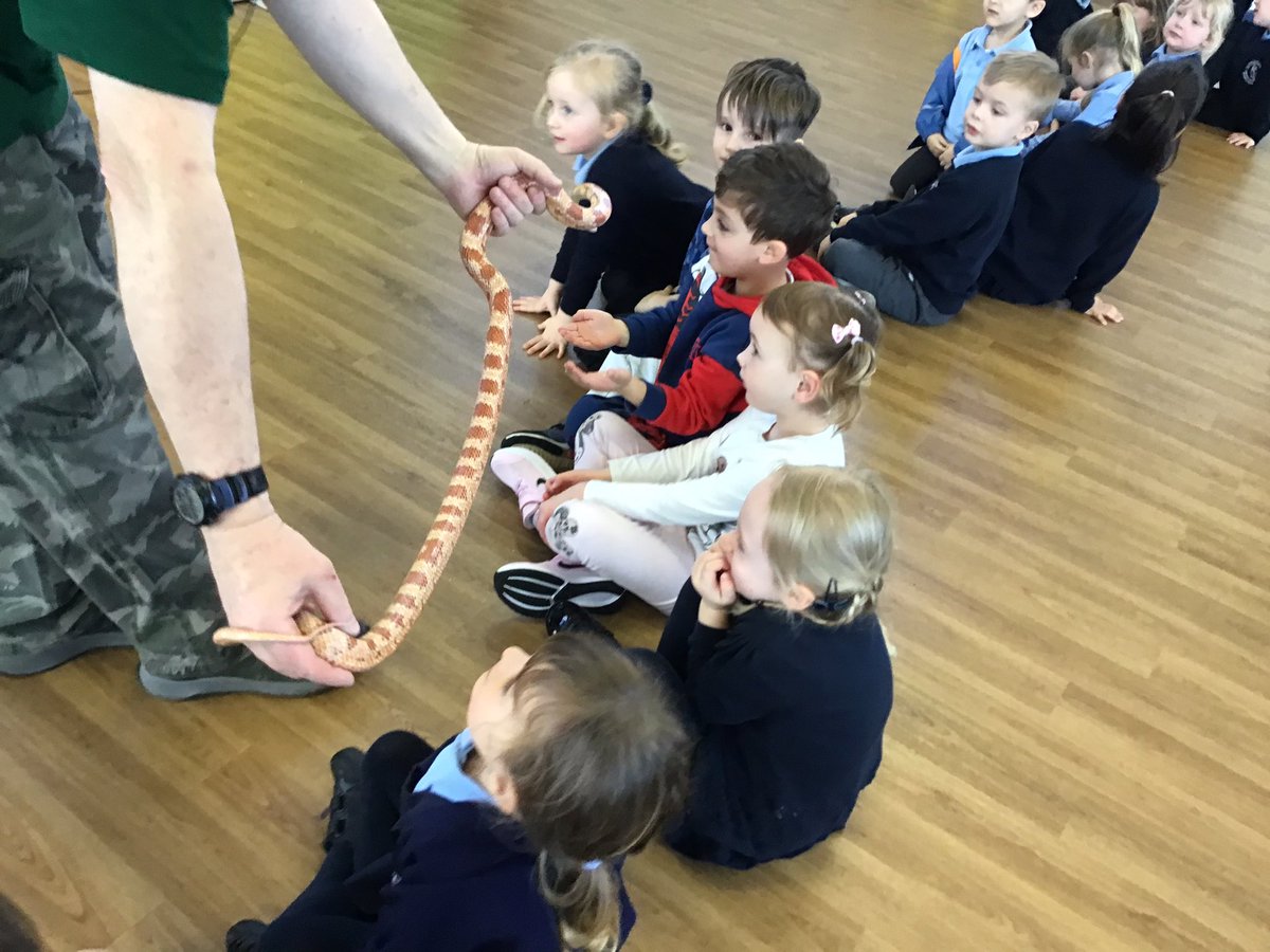 MrsECunningham's tweet photo. We met Chelsea and Feather, two of the snakes. Feather is the baby Boa Constrictor. https://t.co/70ikaimvzw