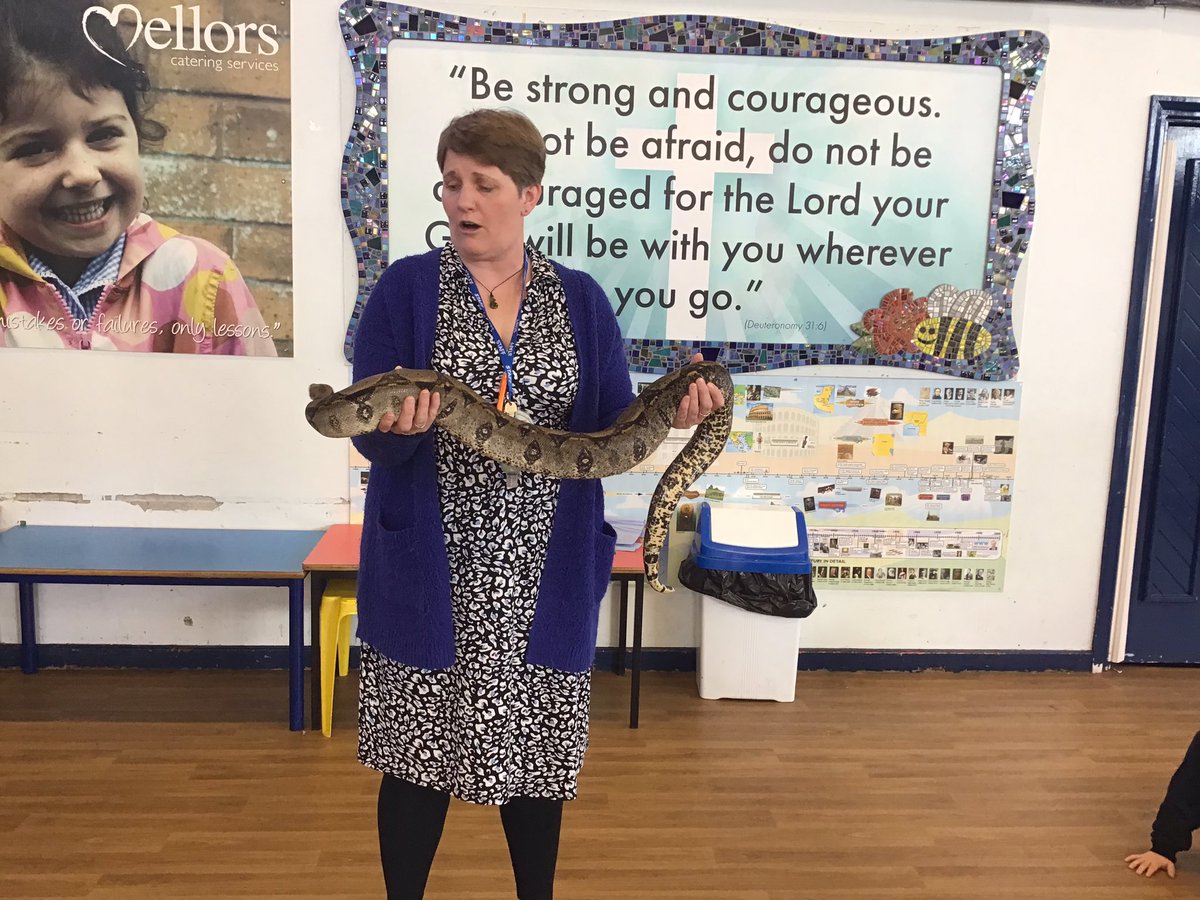 MrsECunningham's tweet photo. We met Chelsea and Feather, two of the snakes. Feather is the baby Boa Constrictor. https://t.co/70ikaimvzw