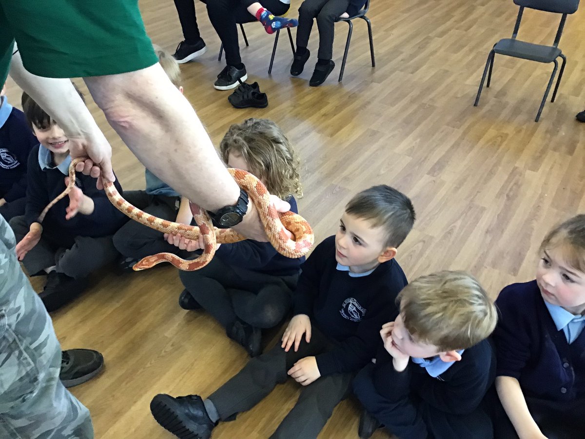 MrsECunningham's tweet photo. We met Chelsea and Feather, two of the snakes. Feather is the baby Boa Constrictor. https://t.co/70ikaimvzw