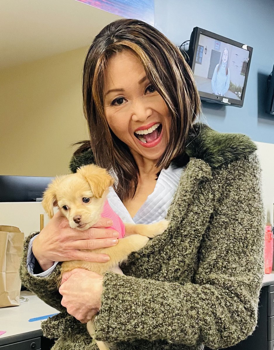 Happy #NationalPuppyDay !!! A great day to cuddle with or maybe even adopt a little fur baby! ⁦<a href="/10News/">ABC 10News San Diego</a>⁩